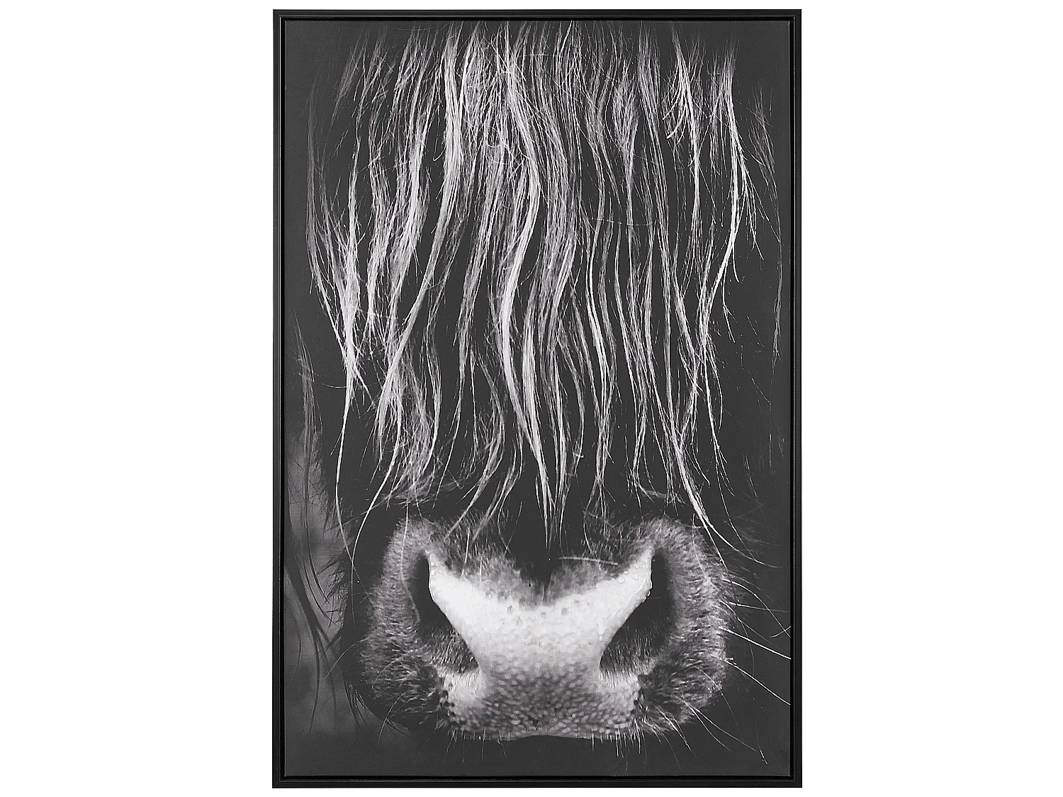 Wanddecoratie zwart 63 x 93 cm GALEATA
