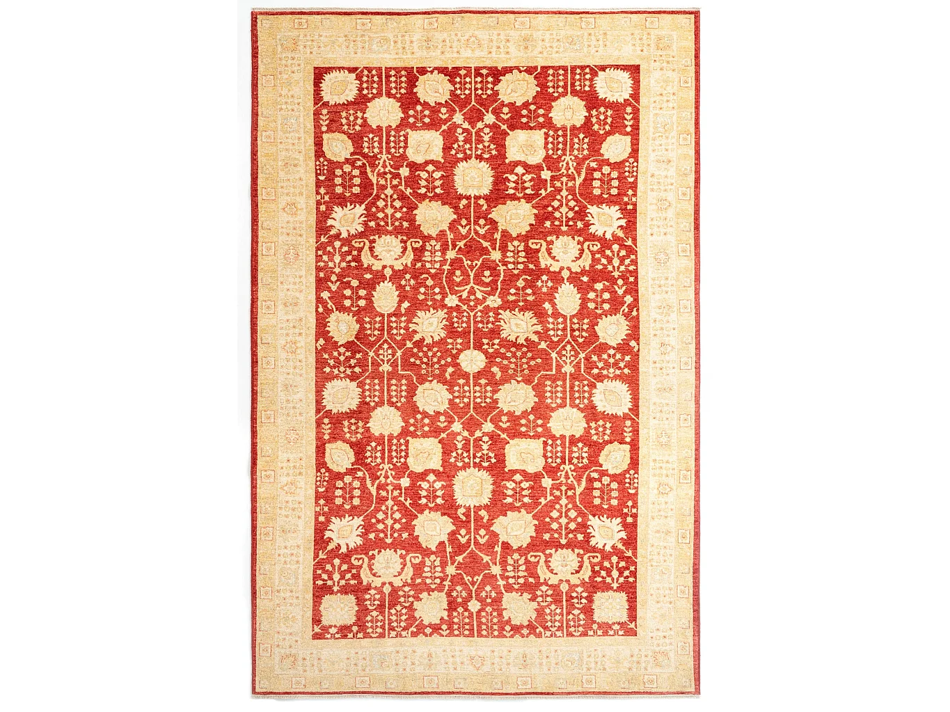 Woltapijt 327×211 Rood Kaizar